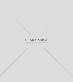 demo-img-1 3